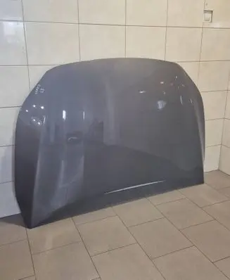 Engine bonnet/hood