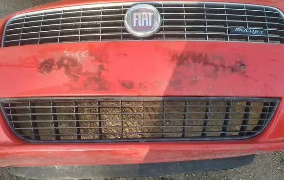 Front bumper lower grill