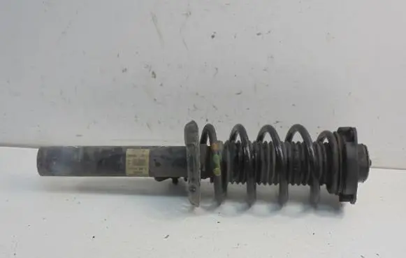 Volkswagen PASSAT B6 Front shock absorber/damper 3C0413031AQ