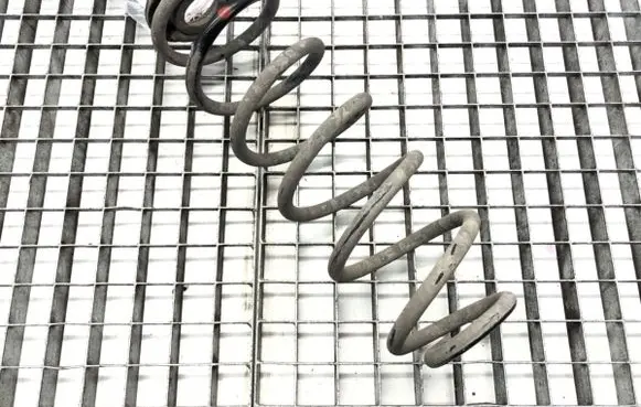 Rear coil spring
