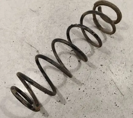 Rear coil spring