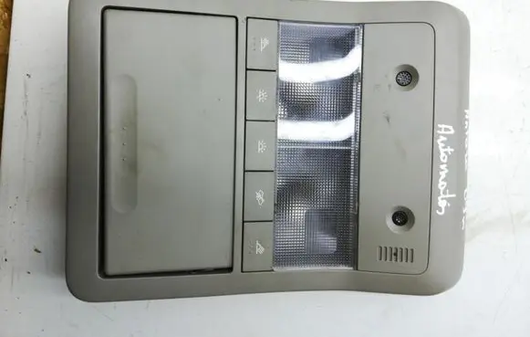Opel Antara Front seat light