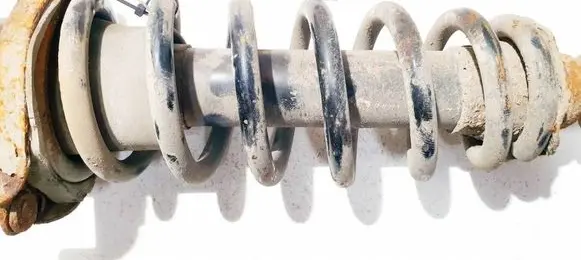 Rear coil spring