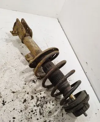 Fiat Bravo Front shock absorber with coil spring 50708894