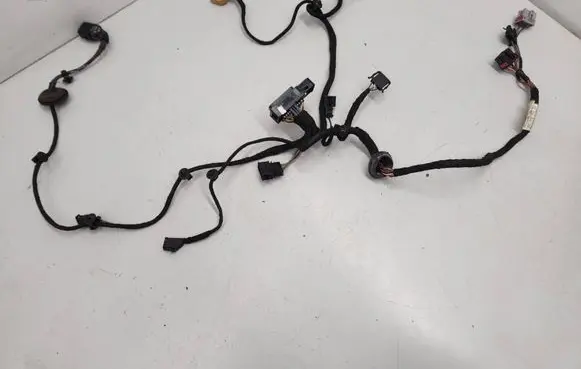 Volkswagen PASSAT B5 Front door wiring loom 3B0971120 17DPZ2002