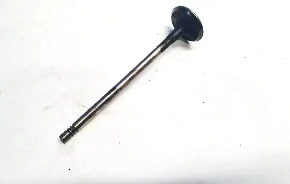 Renault Vel Satis Valve 