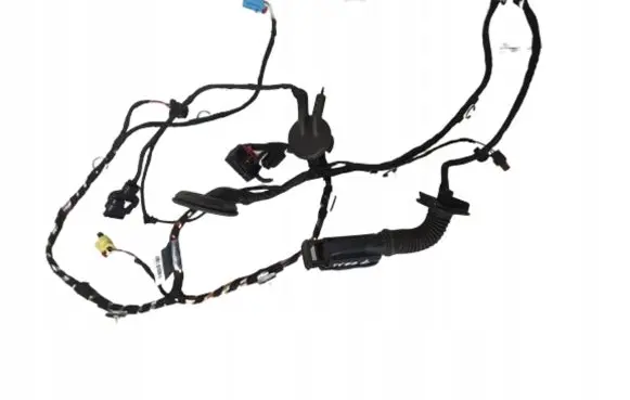 Front door wiring loom