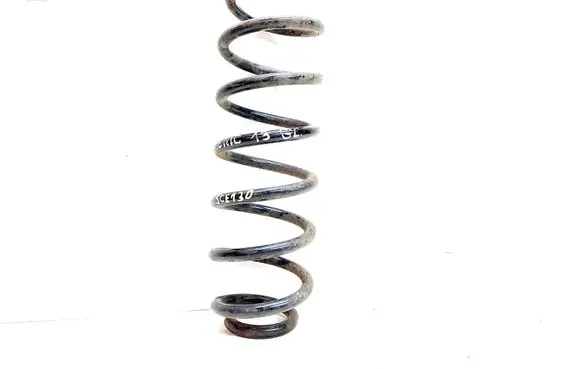 Renault Scenic III - Grand scenic III Rear coil spring