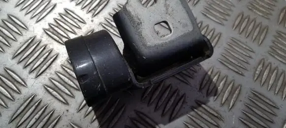 Rear door lower hinge