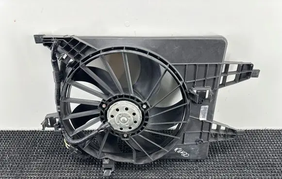 Renault Kangoo II Electric radiator cooling fan 214813805R