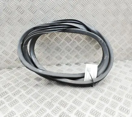 Renault Zoe Rubber seal front door (on door) 808324593R