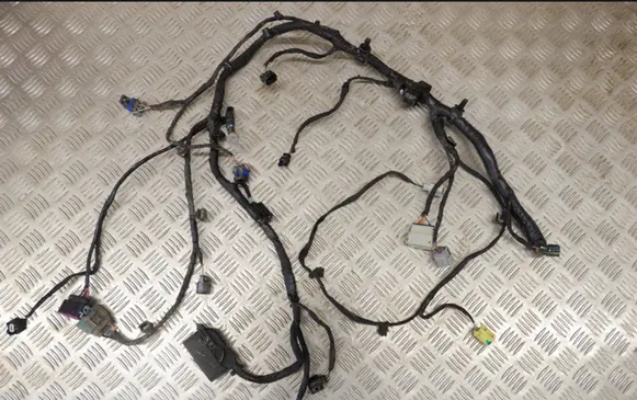 Tesla Model S Other wiring loom