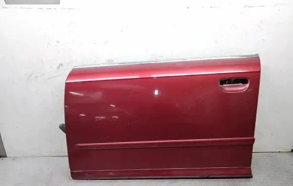 Audi A4 S4 B7 8E 8H Front door