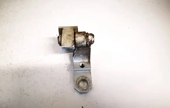 Rear door lower hinge