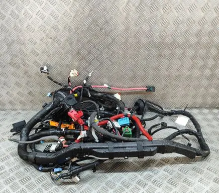 Tesla Model Y Other wiring loom 248905808B