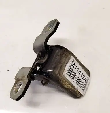 Renault Laguna III Rear door lower hinge
