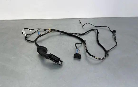 BMW 2 F46 Rear door wiring loom 9389328
