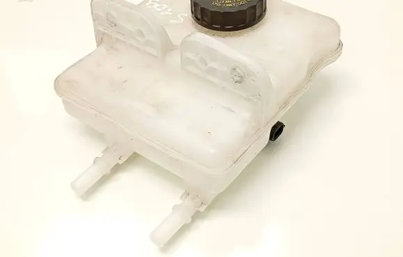 Renault Zoe Brake fluid reservoir 460918372R 0204720866