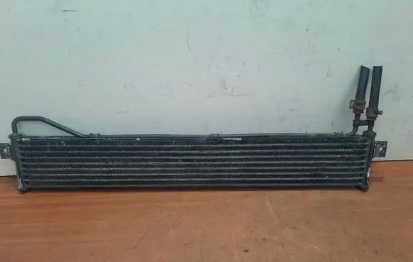 KIA Carnival Engine oil radiator 