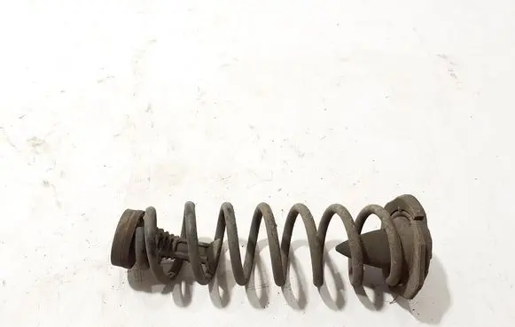 Renault Scenic IV - Grand scenic IV Rear coil spring 550200678R
