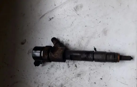 Renault Scenic II - Grand scenic II Fuel injector 0445110110B