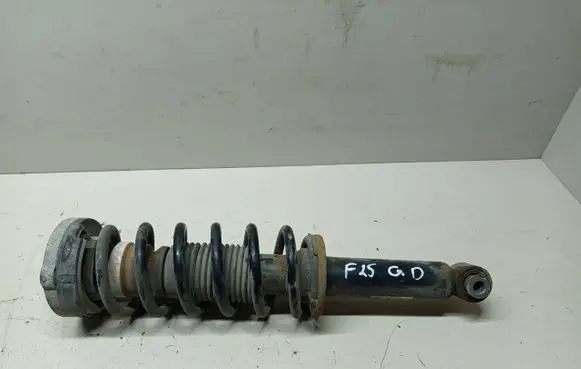 BMW X3 F25 Rear shock absorber with coil spring 6796317