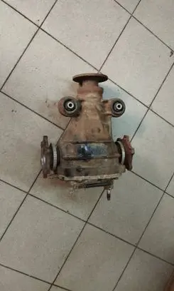 Nissan Pathfinder R51 Rear differential 38311EB300