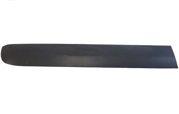 Renault Express Sliding door trim (molding) 828774671R