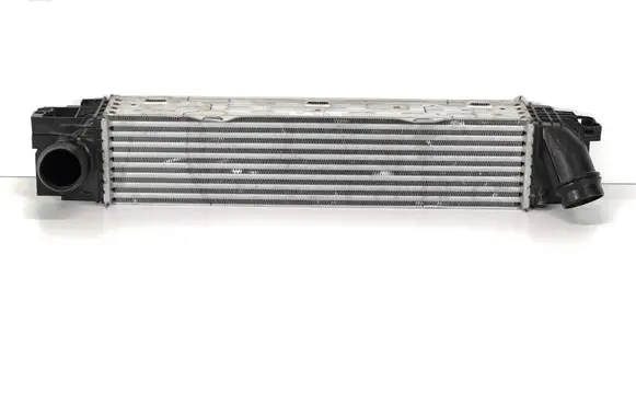 BMW X1 U11 Refrigerator 251363