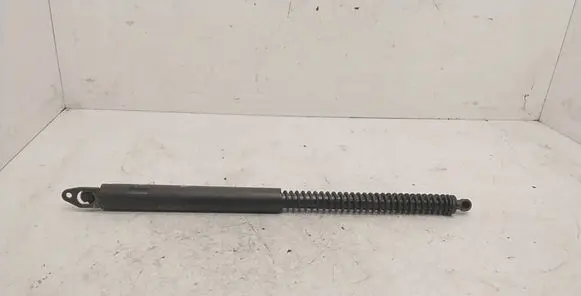 Tailgate strut