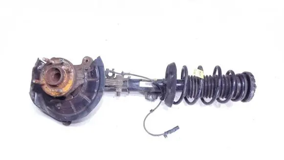 Chevrolet Aveo Front shock absorber with coil spring 95226435 0M030 AA7G