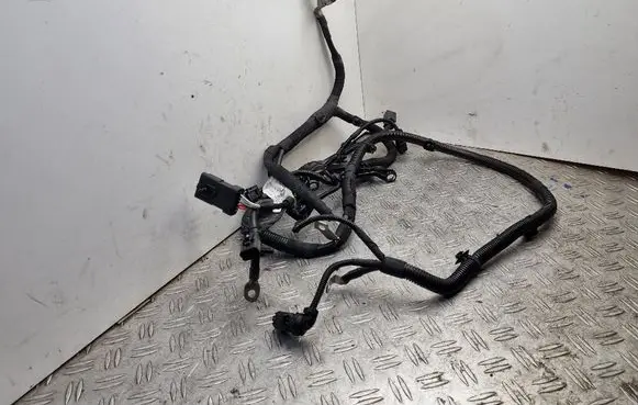 Citroen C4 SpaceTourer Engine installation wiring loom 9815732880 9805290380 9805290280