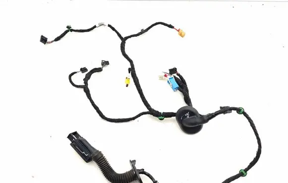 Volkswagen ID.3 Front door wiring loom TAB016130AG 2038405143 13092019