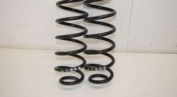 Rear coil spring