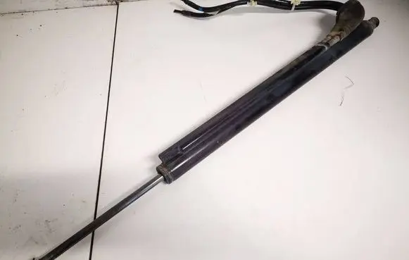 Tailgate/trunk strut/damper