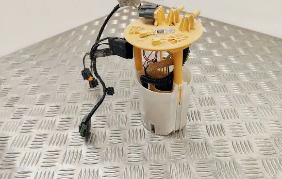 Renault Espace V (RFC) In-tank fuel pump 172023644R 0580203309
