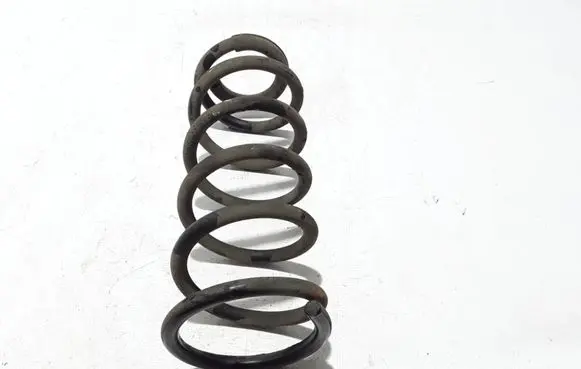 Renault Alaskan Rear coil spring 550205JT7A
