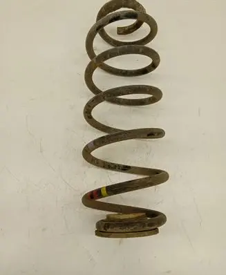 Rear coil spring