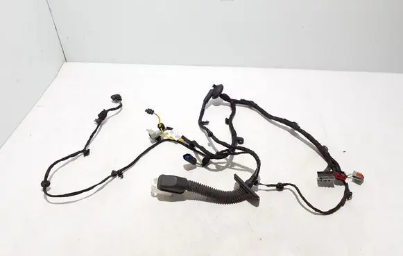 Volvo EX30 Other wiring loom 80002301
