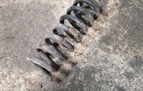 Rear coil spring