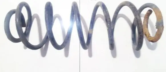 Rear coil spring