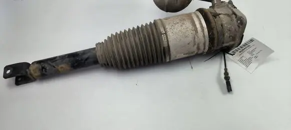 Volkswagen Phaeton Rear shock absorber with coil spring 0312071808