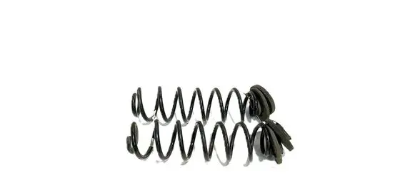 Rear coil spring