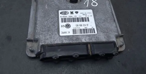 Volkswagen Golf IV Engine control unit/module ECU 036906014CF 6160039412