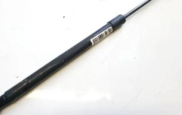 Tailgate/trunk strut/damper