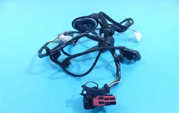 Rear door wiring loom