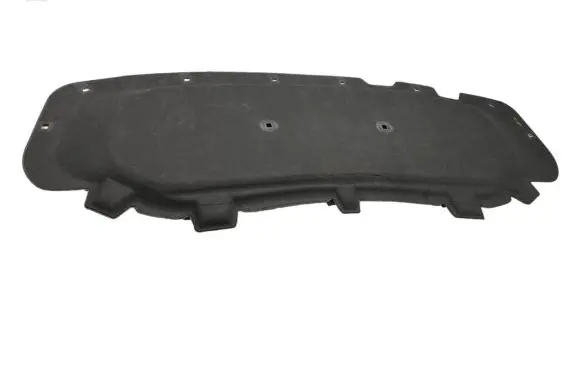 Volkswagen Tiguan Engine bonnet/hood sound/heat insulation 5NG863835A