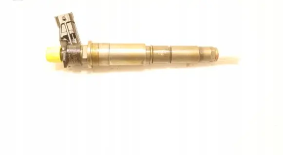 Renault Laguna III Fuel injector 0445115007