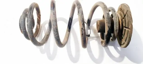 Rear coil spring