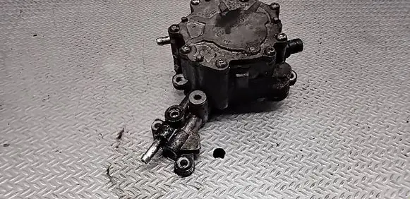 Volkswagen Golf V Vacuum pump 038145209